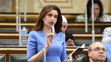 أزمة باقات الإنترنت.. البرلمان المصري يناقش شكاوى المواطنين حول استهلاك الخدمة المثير للجدل